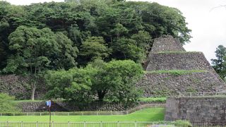 最も目立つ存在・・・