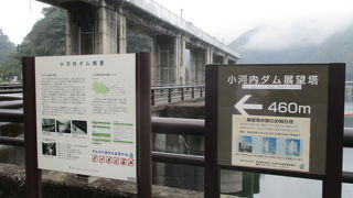 ダムの上を歩いて右が奥多摩湖、左には何やら建物と川、コントラストが楽しい。