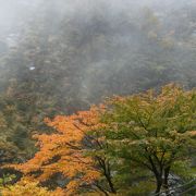 紅葉の景色がとても素晴らしい