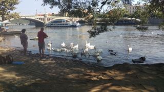 懐かしき川よ～