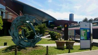 フグがいっぱい