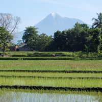 ホテル裏からの風景