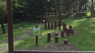 アスレチックが楽しめます