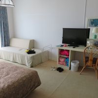 意外と大きめのテレビ、でも、衣類の収納なし