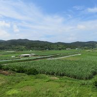 反対側は、いちめんサトウキビ畑という感じ