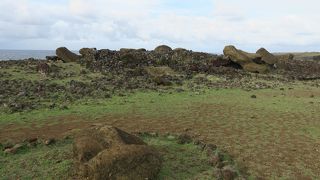 南海岸にあります