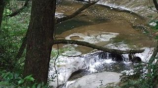 上からではよく分からない