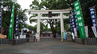 震災後、熊本城を見るならここから