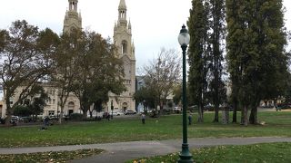 他の公園に比べると雰囲気はそこまで良くないかも