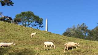 市街地の天然動物放牧公園のような場所