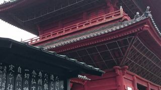 東京タワーが見える大きなお寺