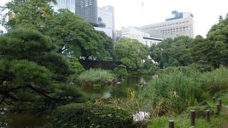 季節折々の光景が見られます