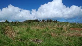 真の八重山義民ではなかったか？