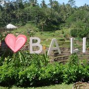 Ｉ&#9829;ＢＡＬＩ♪ライステラス