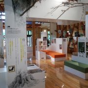 十和田の生物や湖の生い立ちなどが展示