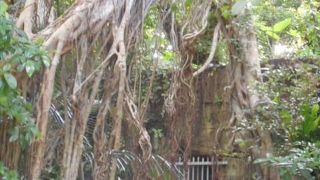 首里城の中に！