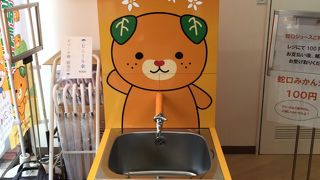 蛇口ジュースを飲むならここ