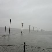 江川海岸 クチコミ アクセス 営業時間 3ページ目 木更津 フォートラベル