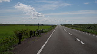 日本海沿いを快走