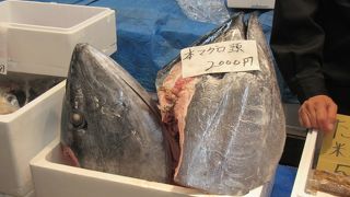 9月に中央卸売市場消費拡大フェア