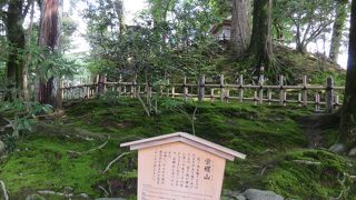 サザエの殻は右巻き・・・