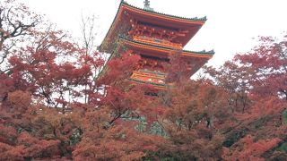 紅葉とセットで