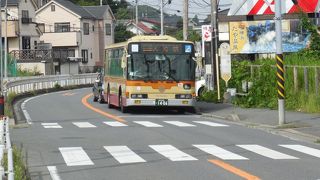 神奈川を広くネットワーク、東京都にも路線を持つ鉄道空白地帯の重要な足。