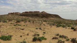 高くない城跡ですが、砂漠の素晴らしい景色を展望できました。