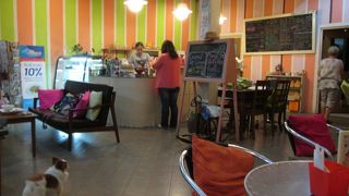 かわいい犬がいました