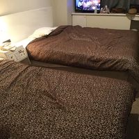 ベッドが広いです