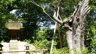 二色が岡に静かに祀られています！