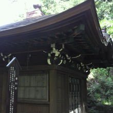 得仁堂の屋根の様子がわかる写真です。左側には、案内があります