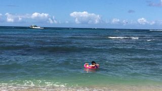 ダイヤモンドヘッドを見ながら