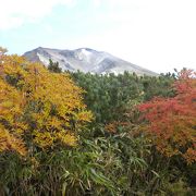 旭岳の紅葉2016