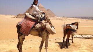 ラクダに乗ってピラミッド観光