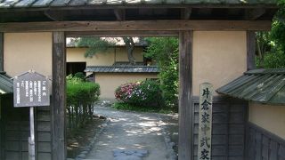 珍しい水中花『梅花藻(も)』が見られました