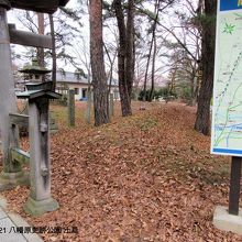 よく見ると土塁が分かります