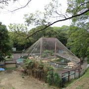 和歌山城に隣接した動物園