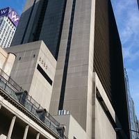 外観は普通です