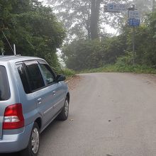 白神ライン・天狗峠付近