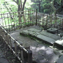 小石川後楽園の最も高い所にある清水観音堂跡です。張り出し部分