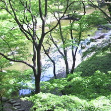 清水観音堂跡から下を見ると、崖になっていて、下は大堰川です。