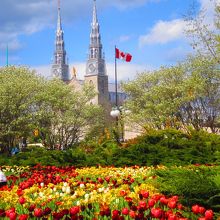 ビクトリアデー