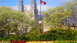 カナディアン チューリップ フェスティバル