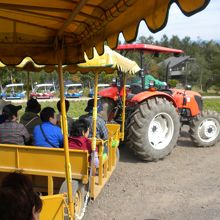 トラクターバス「のろっこ号」