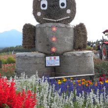 藁のロールは1個５００?もあるそうです。目鼻が付きました。