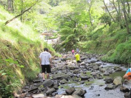 高槻森林観光センター　槻の郷荘 写真