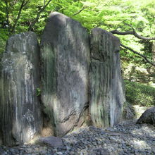 周囲の松の枝に囲まれている小石川後楽園の屏風岩の様子です。