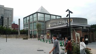 2016/09/22 天王寺動物園