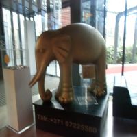 シンボルのエレファント